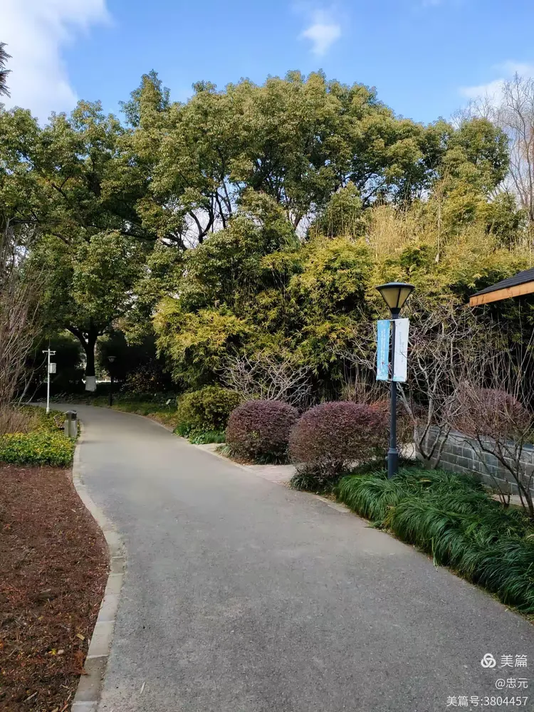 罗溪公园攝游篇